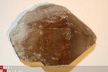 GRZ3570D1 #3 Smokey-quartz, Rook Kwarts Rusland - 1 - Thumbnail