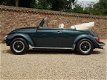 Volkswagen Kever Cabriolet - Beetle convertible - 1 - Thumbnail