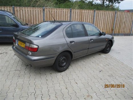 Nissan Primera - 2.0 GX - 1