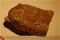 GRZ3570D1 #15 Trilobite cf Asaphus Rusland - 1 - Thumbnail