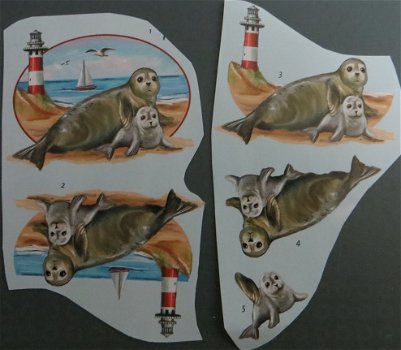 3D plaatjes --- ZEEHOND met een ZEEHONDENPUP bij de VUURTOREN - 1