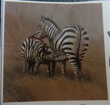 3D plaatjes --- ZEBRA / ZEBRA'S --- mini plaatje - 2