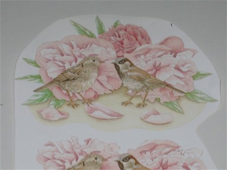 3D plaatjes --- VOGELS bij de ROZE BLOEMEN - 2