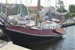 Schokker Vreedenburg 9.84
