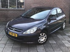 Peugeot 307 - 1.6-16V XS Pack