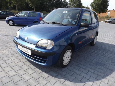 Fiat Seicento - 1100 i.e. Young - 1