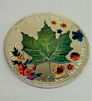 Canada maple leaf 4 seasons 2001, 4oz bullion .999 zilver, gekleurd - 4