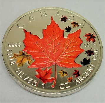 Canada maple leaf 4 seasons 2001, 4oz bullion .999 zilver, gekleurd - 5