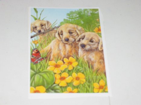 3D plaatjes --- HONDEN --- LABRADOR PUPPIES met een VLINDER TUSSEN de BLOEMEN - 2