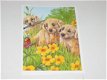 3D plaatjes --- HONDEN --- LABRADOR PUPPIES met een VLINDER TUSSEN de BLOEMEN - 2 - Thumbnail