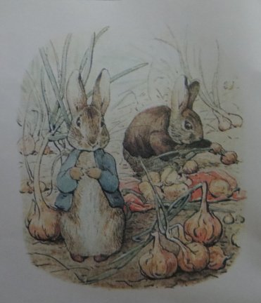 3D plaatjes --- BEATRIX POTTER --- KONIJNEN in het KNOLLENVELD - Afbeelding 2