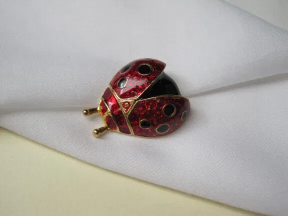 Broche Roman goudkleurig en rood zwart emaille lieveheerstbeestje 3.3x2.7 cm - nr. 1