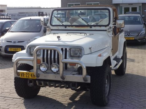 Jeep Wrangler - 4.2 Autom.NAP - 1