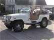 Jeep Wrangler - 4.2 Autom.NAP - 1 - Thumbnail