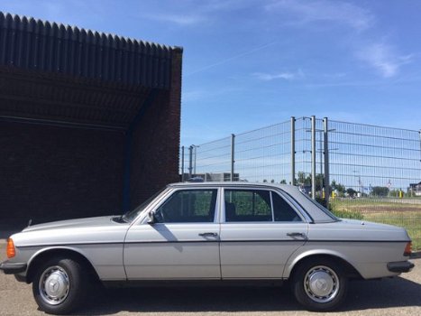 Mercedes-Benz 250 - 250/1983/1e eigenaar W123 - 1