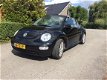 Volkswagen New Beetle Cabriolet - 1.4 xenon nieuwe distr. riem - 1 - Thumbnail