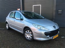 Peugeot 307 - XS 1.6-16V