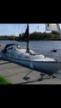 Great Dane Segelboot - 4