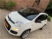 Fiat Panda - 1.2 Edizione Cool Prachtige Gezins Auto Bijna Nieuw - 1 - Thumbnail