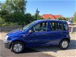 Fiat Panda - 1.1 Actual Leuke Frisse Occasion Bj 2007 - 1 - Thumbnail