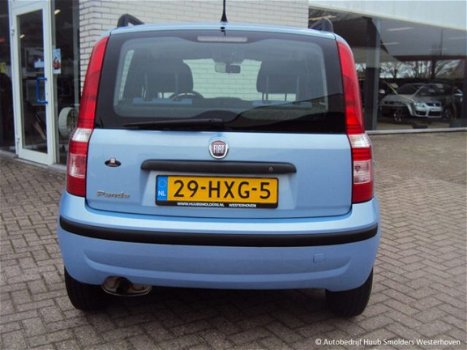 Fiat Panda - - 1.2 60Pk Dynamic - 1