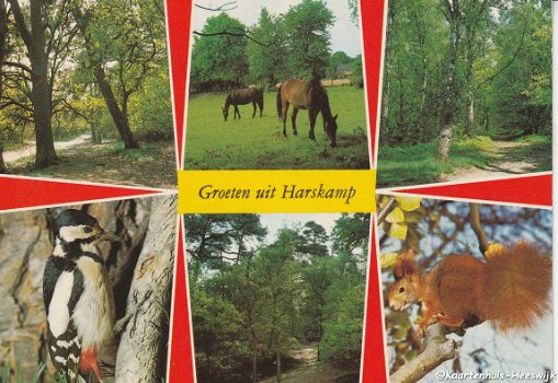 Groeten uit Harskamp 1987_2 - 1