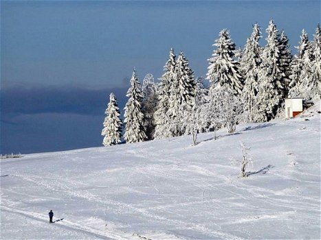 Vakantie Woningen bij Winterberg en Willingen Sauerland. - 2