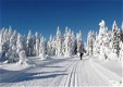 Weekendje Wintersport bij Winterberg/Willingen Sauerland. - 2 - Thumbnail