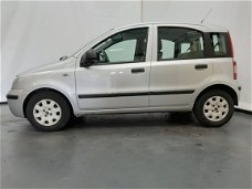 Fiat Panda - 1.2 Edizione Cool