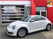 Volkswagen Beetle - Clima, Leder, Cruise - 1 - Thumbnail