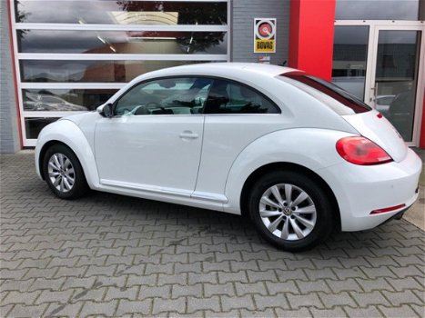 Volkswagen Beetle - Clima, Leder, Cruise - 1