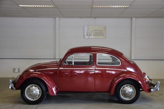Volkswagen Kever - 1300 Braziliaanse Kever Eerste Lak Nette staat verkoop in opdracht van klant - 1