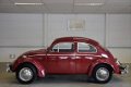 Volkswagen Kever - 1300 Braziliaanse Kever Eerste Lak Nette staat verkoop in opdracht van klant - 1 - Thumbnail