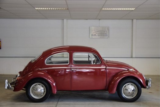 Volkswagen Kever - 1300 Braziliaanse Kever Eerste Lak Nette staat verkoop in opdracht van klant - 1