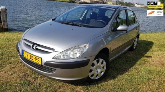 Peugeot 307 - 1.6-16V XS - 1