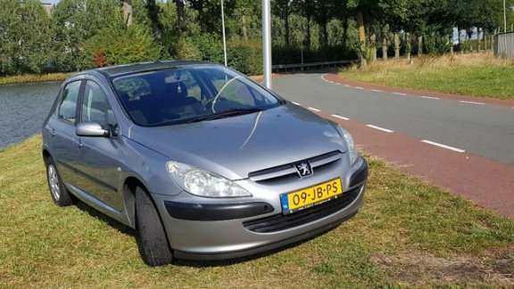 Peugeot 307 - 1.6-16V XS - 1