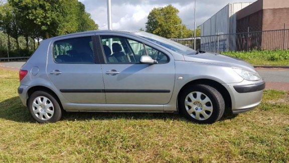 Peugeot 307 - 1.6-16V XS - 1