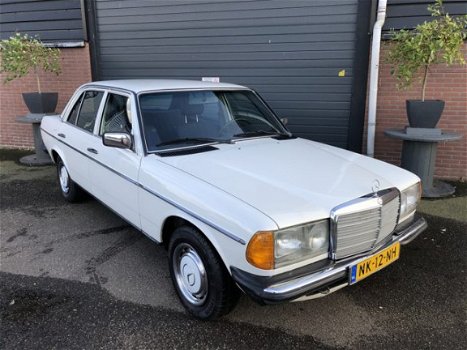 Mercedes-Benz 230 - (W123) E - 1