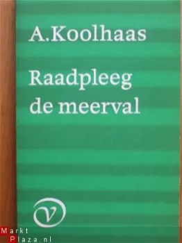 A. Koolhaas: Raadpleeg de Meerval - 1