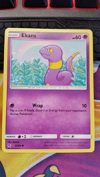 Ekans 25/68 Sun & Moon: Hidden Fates - 1