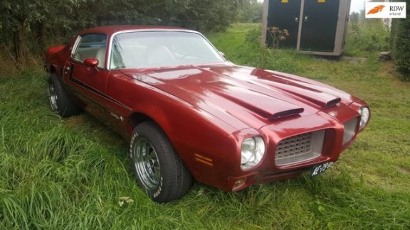 Pontiac Firebird - ESPRIT Harde super gave Firebird (gave neus) - 1