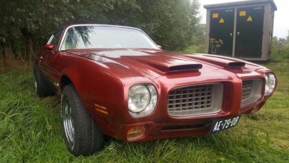 Pontiac Firebird - ESPRIT Harde super gave Firebird (gave neus) - 1