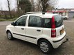 Fiat Panda - 1.2 Active AIRCO / NAP - 1 - Thumbnail