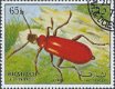 Postzegels Sharjah - 1972 - Insecten (65) - 1 - Thumbnail