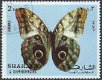 Postzegels Sharjah - 1972 - Vlinders (2) - 1 - Thumbnail