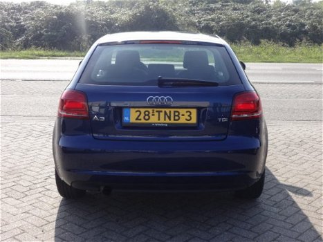Audi A3 - 1.6 TDI 99g Attraction Business Edition - 1