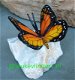 Vlinders - Vlinder Decoratie - Vlinder Sieraden - Vlinders voor aan de muur - Vlinder Tuindecoratie - 1 - Thumbnail