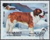 Postzegels Sharjah - 1972 - Honden (1) - 1 - Thumbnail