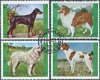 Postzegels Sharjah - 1972 - Honden (serie) - 1 - Thumbnail