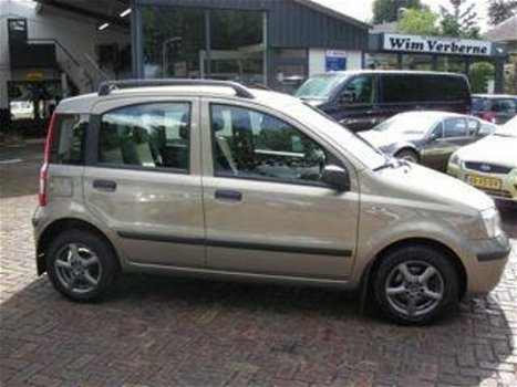 Fiat Panda - 1.2 Edizione Cool - 1